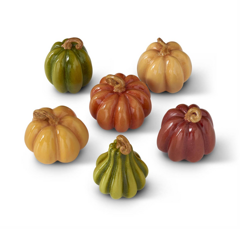 Mini Pumpkins (Multiple Variants)