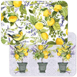 Plastic Reversible Rectangular Placemats (Multiple Styles)