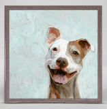 "Dog Mini Canvas Framed" (Multiple Variants)