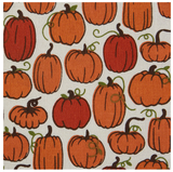 Pumpkin Spice Assorted Dishtowel (5 variants)