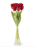 19" Silk w/Real Touch Tulip Bundle (2 Variants)