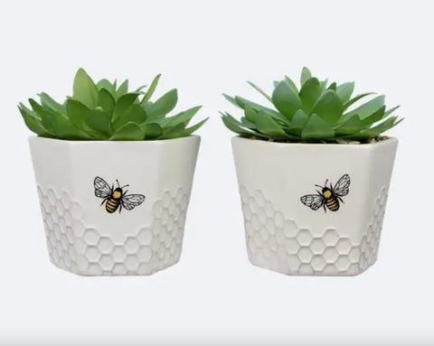 Honeycomb Artificial Succulent