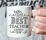 Teacher Appreciation Mug (Multiple Variants)