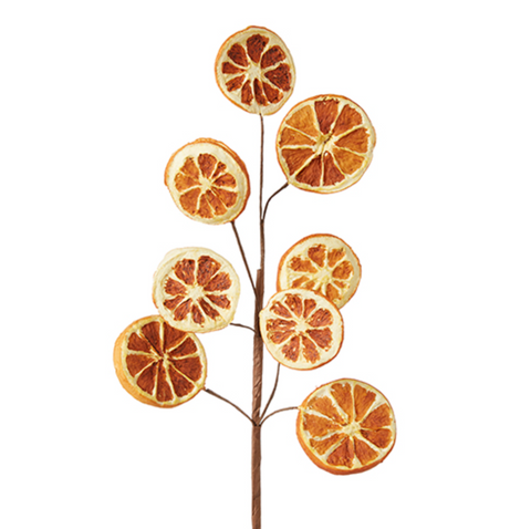 Orange Slice Spray