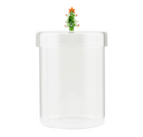 Tree Handle Canister