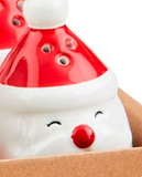 Christmas Character Salt & Pepper Shakers By Mud Pie