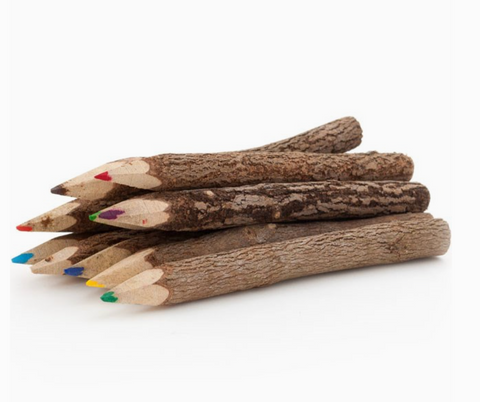 Set of 10 Twig Pencils