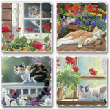 Cork Backed Absorbent Coasters 4 Pack (Multiple Styles)