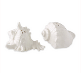 Seashells Salt & Pepper Shaker Set
