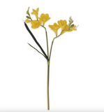 21" Real Touch Freesia Stem (2 Variants)