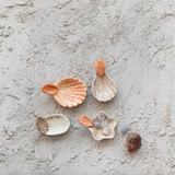 Shell Dish with Shell Shaped Handle (4 Styles)