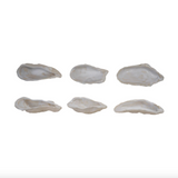 Oyster Shell Shaped Dish