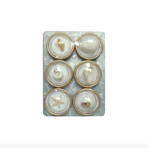 Magnets on Metal Card with Shells (Set of 6)