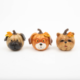 4.5" Resin Harvest Pumpkin Dog (3 Variants)