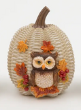 6.6" Harvest Pumpkin w/ Animal (3 Variants)