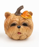 4.5" Resin Harvest Pumpkin Dog (3 Variants)