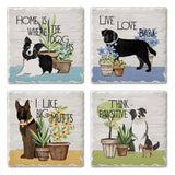 Cork Backed Absorbent Coasters 4 Pack (Multiple Styles)