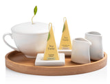 Sugar & Creamer Set