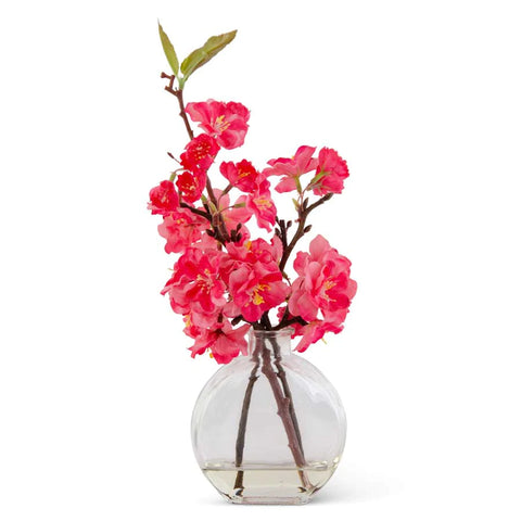 Fuchsia Cherry Blossom in Flat Round Vase