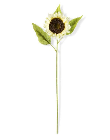 Single Cream Sunflower Stem