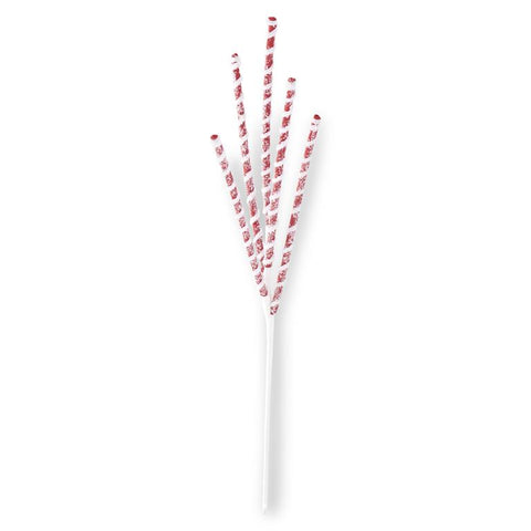 Glittered Red & White Flocked Spiral Spike Spray