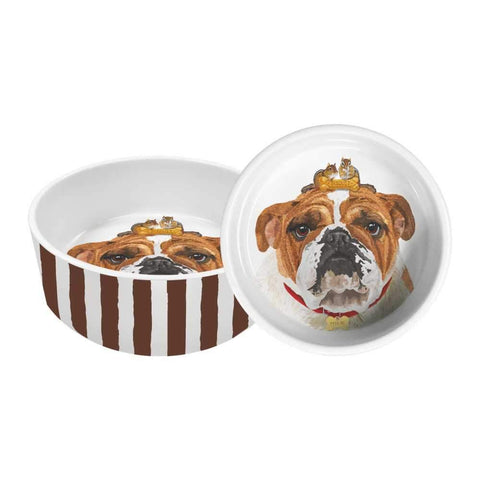 "Reggie" Pet Bowl