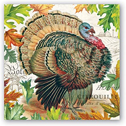 Fall Harvest 6.5"x6.5" Napkins