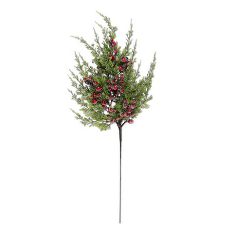Cypress Pine w/ Frosted Iced Berries Plant