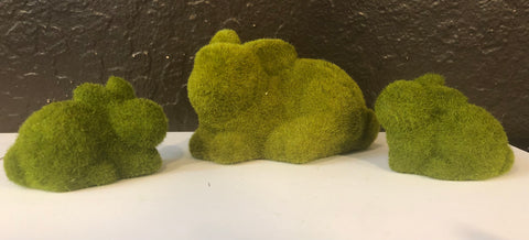 Mossy Bunny