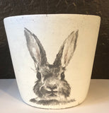Peter Rabbit Pot