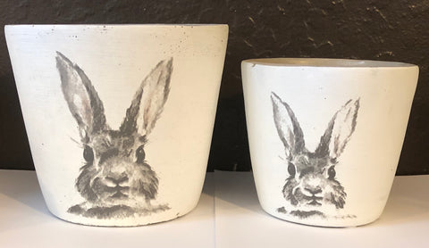Peter Rabbit Pot
