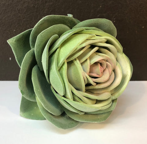 cabbage looking succulent Succulent Rose Cabbage – Gourmet Works