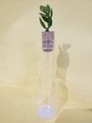 Glass Bottle with Succulent Topper