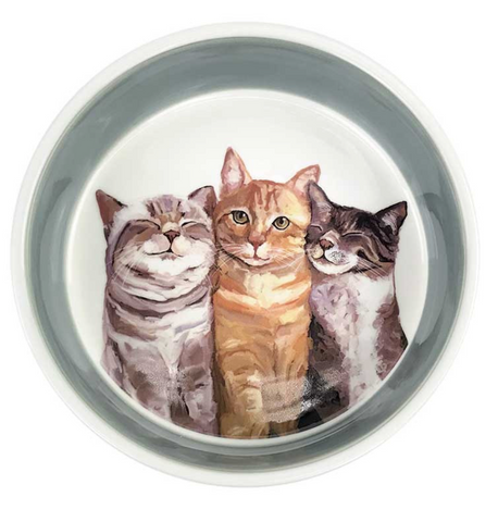 Cat Bunch Pet Bowl