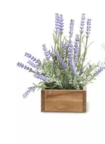 Wood Pot Lavender Plant