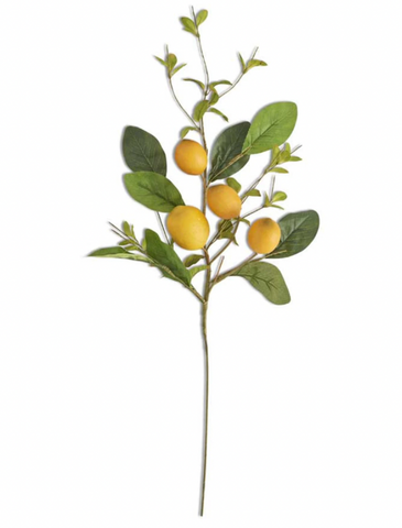 28" Lemon and Leaves Stem