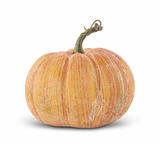 Whitewashed Shadow Pumpkin (3 Sizes)