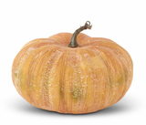 Whitewashed Shadow Pumpkin (3 Sizes)