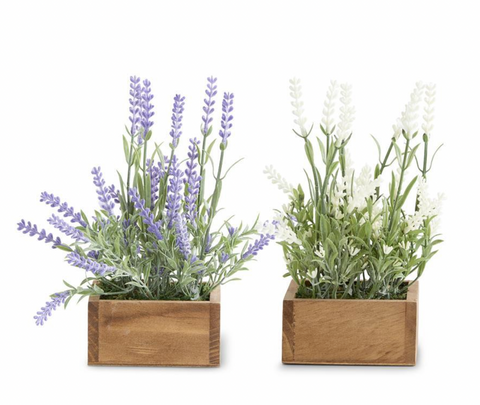 8.5" Lavender Plant in Wooden Pot (2 Colors)