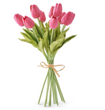 13.5" Colored Tulip Bundle (4 Colors)