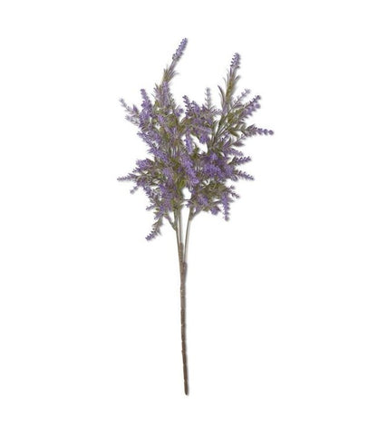 Purple Lavender Stem